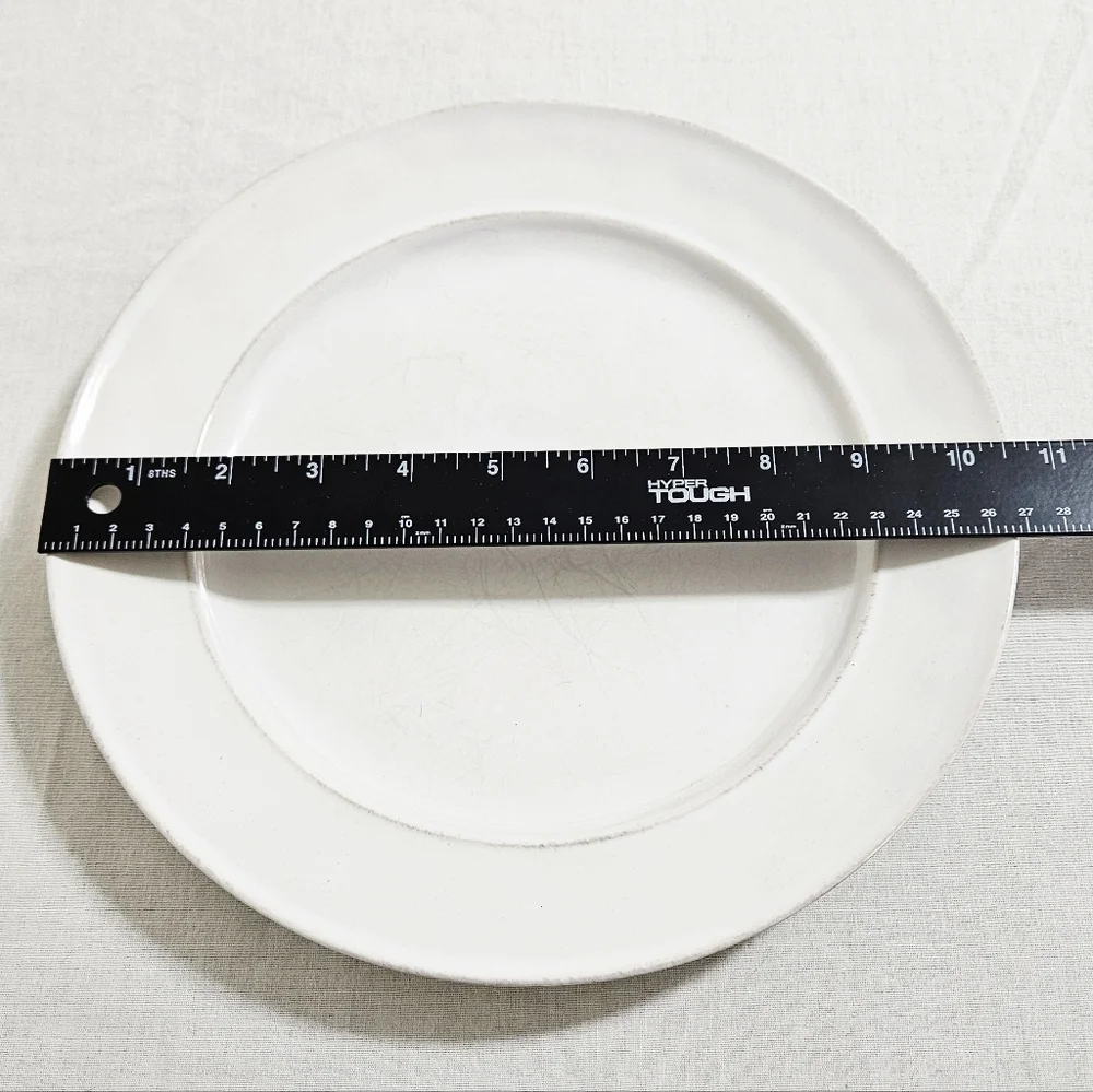 Pottery Barn Cambria Stone (2) Dinner Plates Handcrafted Rustic Trim White 10.7